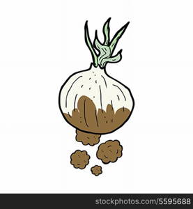 cartoon organic onion