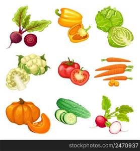 Cartoon organic vegetables set with beet pepper cabbage cauliflower tomato carrot pumpkin cucumber radish isolated vector illustration. Cartoon Organic Vegetables Set