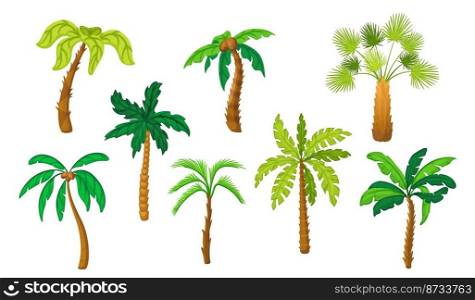 Cartoon palm tree. Flat coconut tropical palms. Isolated green jungle trees, hawaii beach plants or exotic forest. Summer island vacation neat vector symbols. Collection of palm tree summer. Cartoon palm tree. Flat coconut tropical palms. Isolated green jungle trees, hawaii beach plants or exotic forest. Summer island vacation neat vector symbols
