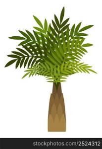 Cartoon palm tree. Green tropical forest plant isolated on white background. Cartoon palm tree. Green tropical forest plant