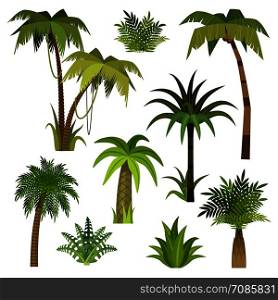 Cartoon palm tree. Jungle palm trees with green leaves, exotic hawaii sunny forest, miami greenery coconut beach palms isolated tropical vacation vector set. Cartoon palm tree. Jungle palm trees with green leaves, exotic hawaii forest, miami greenery coconut beach palms isolated vector set