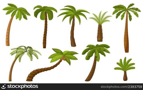 Cartoon palm tree. Summer coco palms, jungle coconut. Isolated beach plants. Tropical island green flora, seaside landscape recent vector elements. Illustration of tree palm and green leaf tropical. Cartoon palm tree. Summer coco palms, jungle coconut. Isolated beach plants. Tropical island green flora, seaside landscape recent vector elements