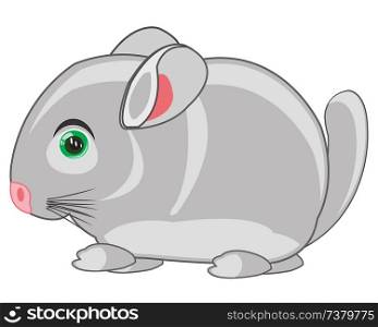 Cartoon pets animal chinchillas on white background is insulated. Vector illustration of the cartoon fur-bearing animal chinchillas