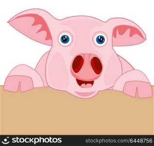 Cartoon piglet peering out for fence. Cartoon piglet peering out for fence.Vector illustration