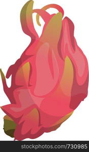 Cartoon pink dragonfruit vector illustration on white background.