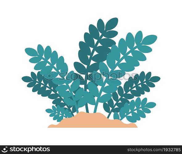 Cartoon plant. Minimalistic zamioculcas growing in sand. Tropical ficus greenery. Isolated jungle foliage element. Natural evergreen African bush with green leaves. Vector cozy houseplant template. Cartoon plant. Minimalistic zamioculcas growing in sand. Tropical ficus greenery. Isolated foliage element. Natural evergreen African bush with green leaves. Vector houseplant template
