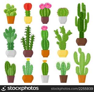 Cartoon potted cactuses, desert plants, cacti and succulents. Indoor potted plants, botanical green cactus flowers vector illustration set. Cactuses in pots, cartoon nature cactus flowers. Cartoon potted cactuses, desert plants, cacti and succulents. Indoor potted plants, botanical green cactus flowers vector illustration set. Cactuses in pots