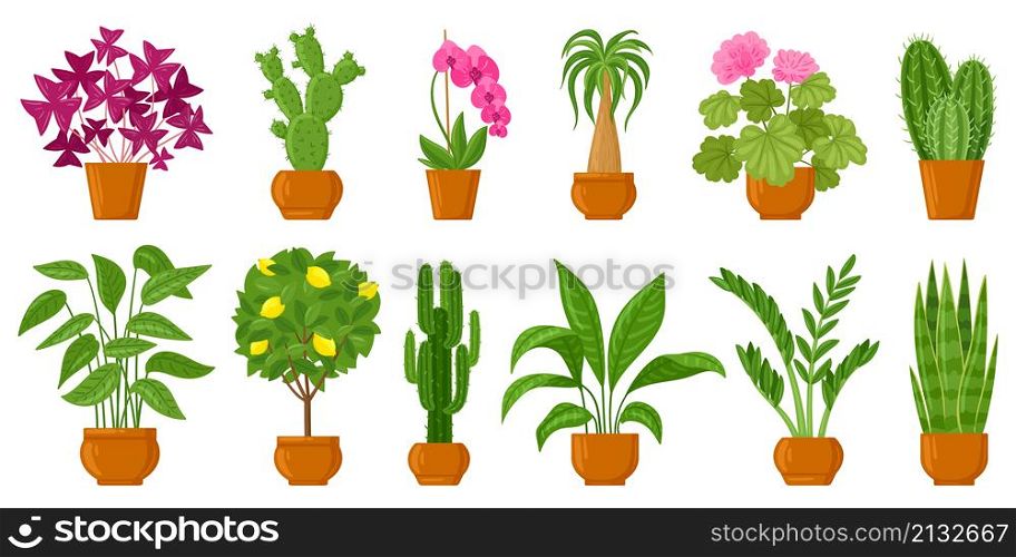 Cartoon potted plants, home and garden flowers in pots. Botanical flower pots, interior plants decor vector illustration set. Flowers and plants in pots. Cartoon houseplant and flowerpot. Cartoon potted plants, home and garden flowers in pots. Botanical flower pots, interior plants decor vector illustration set. Flowers and plants in pots