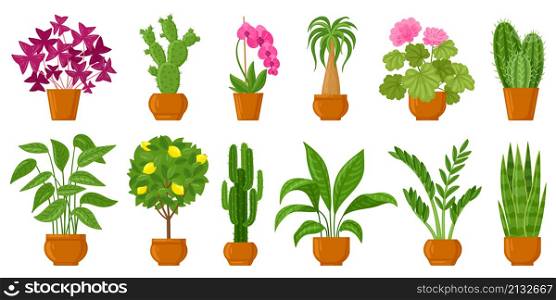 Cartoon potted plants, home and garden flowers in pots. Botanical flower pots, interior plants decor vector illustration set. Flowers and plants in pots. Cartoon houseplant and flowerpot. Cartoon potted plants, home and garden flowers in pots. Botanical flower pots, interior plants decor vector illustration set. Flowers and plants in pots