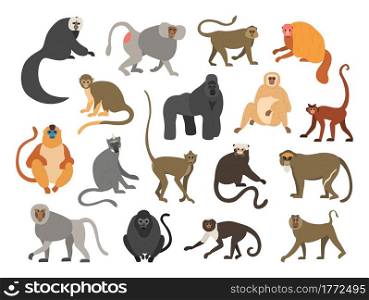 Cartoon primates. Chimpanzee and gorilla monkeys. Isolated wild animals set with tails. Cute apes sit or climb on trees. Tropical gibbon and orangutan. Funny capuchin or macaque. Vector jungle fauna. Cartoon primates. Chimpanzee and gorilla monkeys. Wild animals set with tails. Cute apes sit or climb on trees. Tropical gibbon and orangutan. Funny capuchin or macaque. Vector fauna