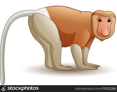 Cartoon proboscis monkey