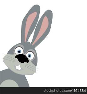 cartoon rabbit on white background vector illustration. cartoon rabbit on white background