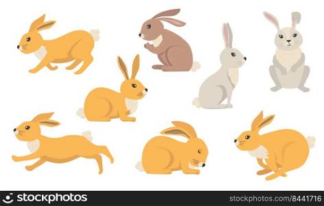 Cartoon rabbits set. Furry hares of different colors, cute Easter bunnies standing, sitting, running, jumping, sleeping. Vector illustration for farming, animals, pets, nature concepts