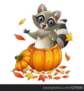 Cartoon raccoon in a pumpkin