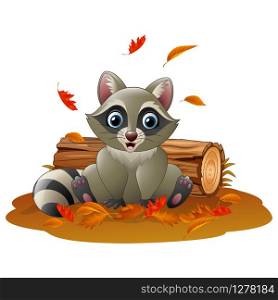 Cartoon raccoon in the autumn weather