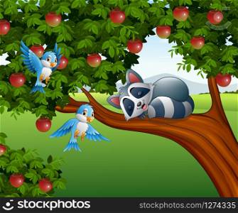 Cartoon raccoon sleep on the apple tree