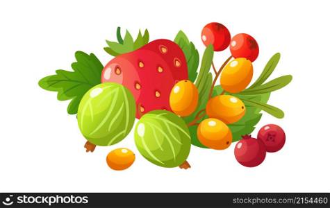 Cartoon ripe berries. Gooseberry, red strawberry and fresh cranberry. Rowan berry, isolated raw fruits. Seasonal juicy healthy food leaf vector. Rowan and gooseberry, ingredient of berry illustration. Cartoon ripe berries. Gooseberry, red strawberry and fresh cranberry. Rowan berry, isolated raw fruits. Seasonal juicy healthy food with green leaf vector sticker