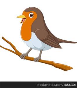 Cartoon robin bird sitting on a tree branch