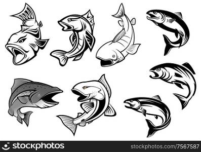 Cartoon salmons fish set for fishing sports or seafood design