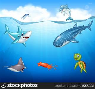 Cartoon sea animals