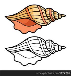 Cartoon sea shell isolated on white background. Colorful and outline shell for kids coloring page, vector illustration. Cartoon sea shell isolated on white