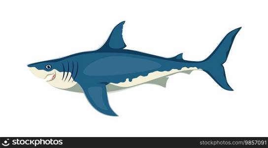 Cartoon shark character, powerful and magnificent sea animal with streamlined sleek body, sharp teeth, and incredible swimming abilities. Isolated vector apex predator living in the oceans. Cartoon shark character, magnificent sea animal