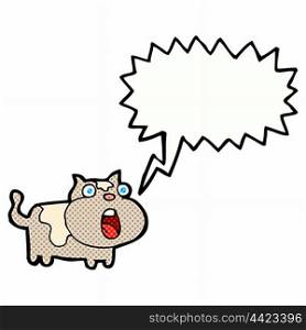 cartoon shocked cat with speech bubble