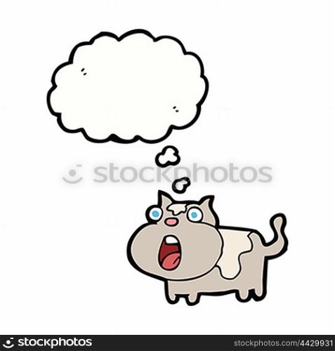 cartoon shocked cat with thought bubble