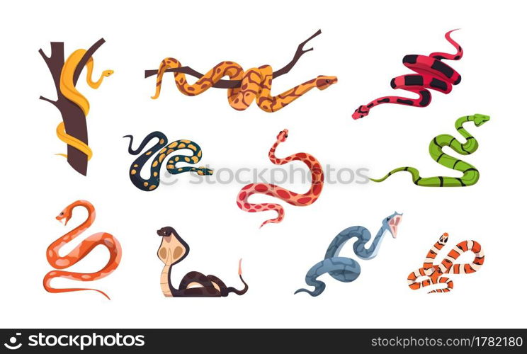 Cartoon snakes. Tropical poison reptiles. Forest and zoo cold-blooded animals collection. Isolated python on tree branch. Attacking cobra and viper. Dangerous creeping serpents set. Vector wild life. Cartoon snakes. Tropical poison reptiles. Forest and zoo cold-blooded animals collection. Python on tree branch. Attacking cobra and viper. Dangerous serpents set. Vector wild life