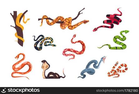 Cartoon snakes. Tropical poison reptiles. Forest and zoo cold-blooded animals collection. Isolated python on tree branch. Attacking cobra and viper. Dangerous creeping serpents set. Vector wild life. Cartoon snakes. Tropical poison reptiles. Forest and zoo cold-blooded animals collection. Python on tree branch. Attacking cobra and viper. Dangerous serpents set. Vector wild life