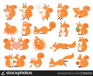 Cartoon squirrel collection poses, happy and love. Vector squirrel animal and wild fauna, wildlife fluffy mascot character illustration. Cartoon squirrel collection poses, happy and love