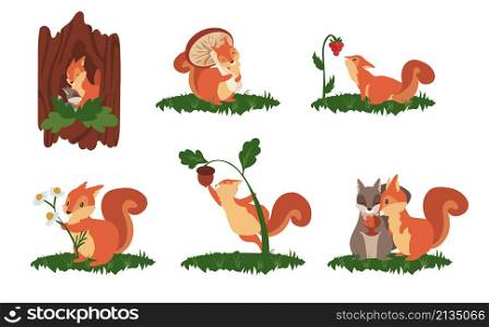 Cartoon squirrel scenes. Cute wild animal in different poses, jump play and sleep, wildlife funny squirrel. Vector illustration set design cute squirrels landscape nature. Cartoon squirrel scenes. Cute wild animal in different poses, jump play and sleep, wildlife funny squirrel. Vector set