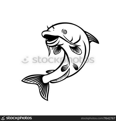 Cartoon style illustration of a blue catfish Ictalurus furcatus , North America&rsquo;s largest catfish species, jumping up on isolated white background done in black and white.. Blue Catfish Ictalurus Furcatus Jumping Up Cartoon Black and White