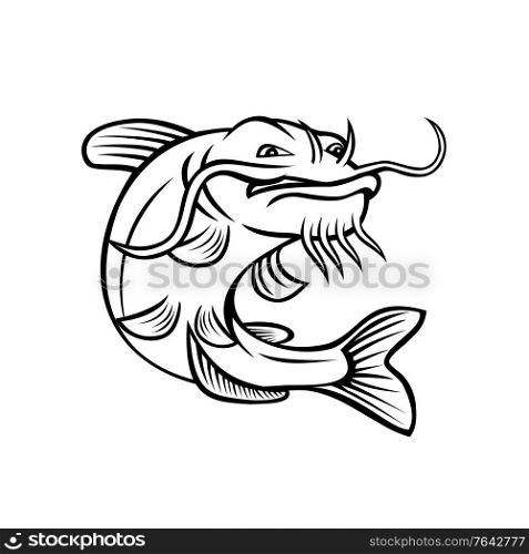 Cartoon style illustration of a channel catfish Ictalurus punctatus or channel cat, North America&rsquo;s most numerous catfish species, jumping up on isolated white background done in black and white.. Channel Catfish Ictalurus Punctatus or Channel Cat Jumping Up Cartoon Black and White