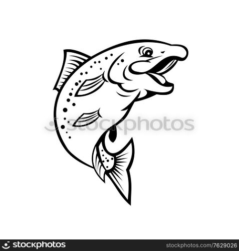 Cartoon style illustration of a happy rainbow trout or salmon fish jumping up on isolated white background in black and white.. Happy Rainbow Trout or Salmon Fish Jumping Up Cartoon Black and White