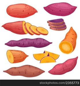Cartoon sweet potato types, sliced yam or batat. Baked sweet red potatoes, healthy hot fall vegetable snack. Natural vegan food vector set. Organic meal eating, fresh products for dieting. Cartoon sweet potato types, sliced yam or batat. Baked sweet red potatoes, healthy hot fall vegetable snack. Natural vegan food vector set