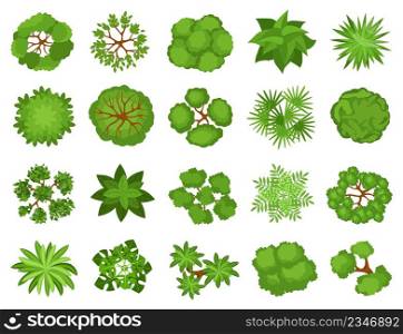 Cartoon top view trees, plants, bushes for landscaping design. Garden tree, bush, shrub, plant elements for landscape plan vector set. Different greenery for projects, maps and schemes. Cartoon top view trees, plants, bushes for landscaping design. Garden tree, bush, shrub, plant elements for landscape plan vector set