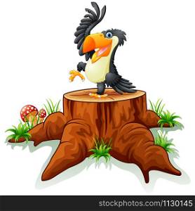 Cartoon toucan on tree stump