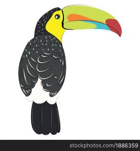 Cartoon tropical bird, keel-billed toucan with big colorful beak.