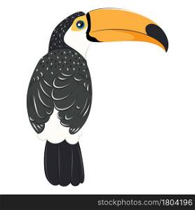 Cartoon tropical bird toucan with big orange beak.