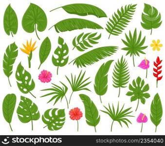 Cartoon tropical palm, monstera, plumeria and banana leaves. Exotic plants leaves vector illustration set. Hibiscus and palm tree foliage. Palm tropical monstera and exotic cartoon plumeria. Cartoon tropical palm, monstera, plumeria and banana leaves. Exotic plants leaves vector illustration set. Hibiscus and palm tree foliage