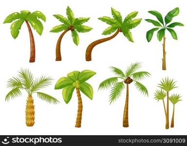 Cartoon tropical palm trees with green leaves, coconut tree. Summer vacation hawaii beach greenery, exotic jungle palm plants vector set. Rainforest elements with foliage, environment. Cartoon tropical palm trees with green leaves, coconut tree. Summer vacation hawaii beach greenery, exotic jungle palm plants vector set
