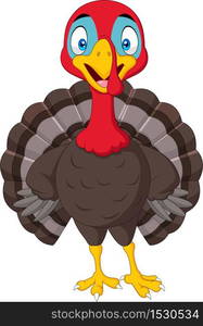 Cartoon turkey isolated on white background