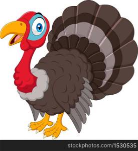 Cartoon turkey isolated on white background