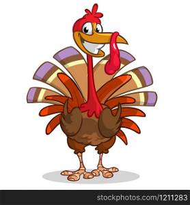 Cartoon turkey. Thanksgiving vector illustration isolated on white background