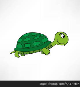 Cartoon turtle