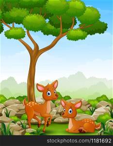 Cartoon two deer in the jungle