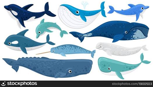 Cartoon underwater mammals, dolphin, beluga whale, orca whale. Marine animals, humpback whale, narwhal, killer whale vector illustration set. Underwater fauna whales. Marine beluga and animal aquatic. Cartoon underwater mammals, dolphin, beluga whale, orca, sperm whale. Marine animals, humpback whale, narwhal, killer whale vector illustration set. Underwater fauna whales