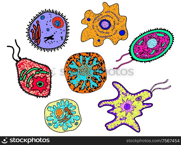 Cartoon various amebas, germs or microbial lifeforms. Suitable for science, medicine or education design