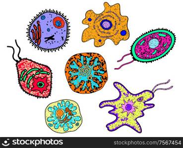 Cartoon various amebas, germs or microbial lifeforms. Suitable for science, medicine or education design